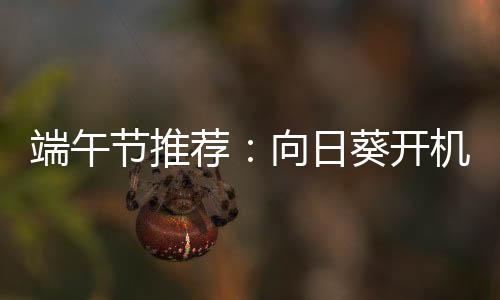 节推荐移动办公的日葵用户