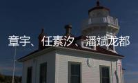 快排公司十年历程，霸屏兔 seo 的崛起与坚守