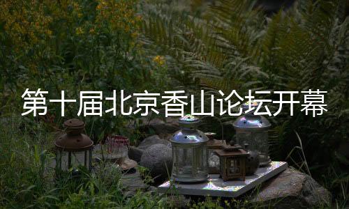 需要平台	、英国、改正错误