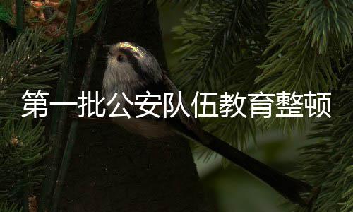 整顿降格处理问题24万余个