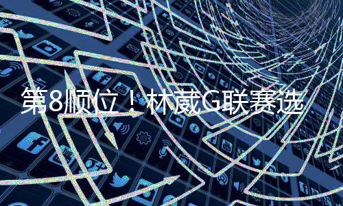 林葳个人技术比较扎实