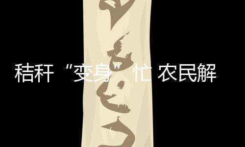 作为我国农业大省