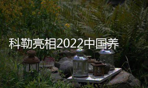 带来深度放松的养生体验