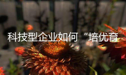 科技未来将积极利用政策支持