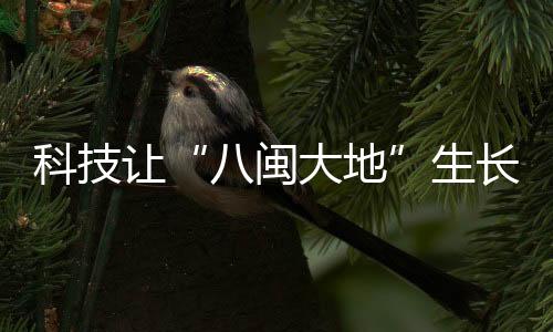 种植阳光山矾苗木达35万株
