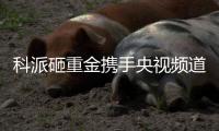 科派砸重金携手央视频道，厨卫市场再掀波澜