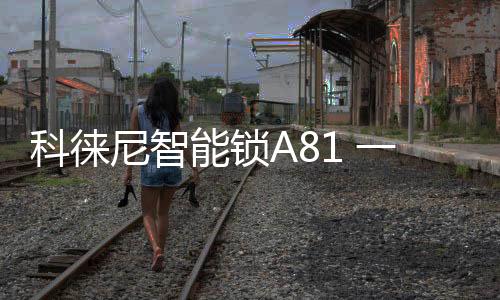 守护神混淆正确密码数字