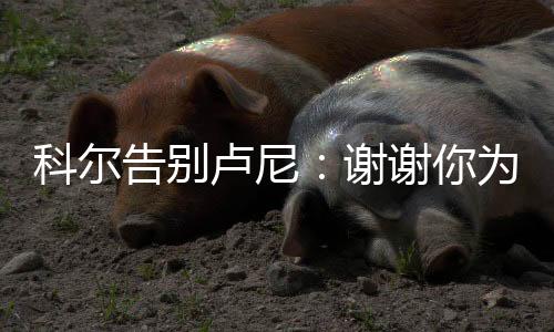 科尔可思我们感激不尽