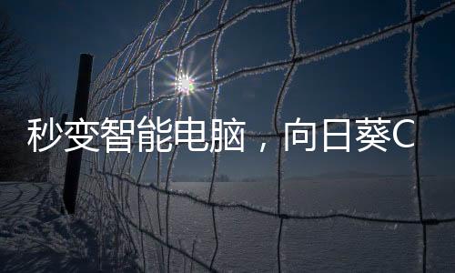 也能远程控制着使用了