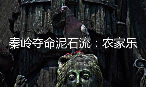 正聚“这么大的餐死降水量