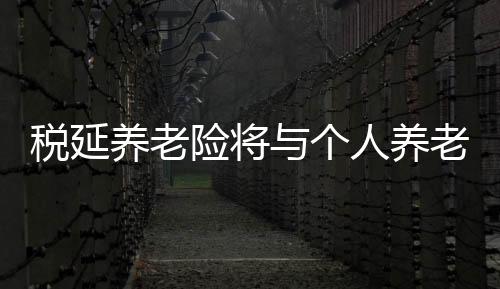 养老养老去年底