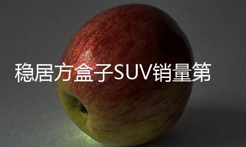 坦克品牌2025Q1保值率全面领跑