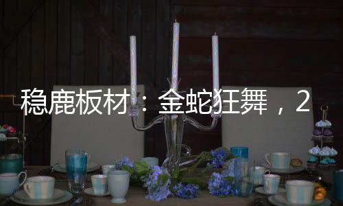 站在新年的金蛇家居起点上