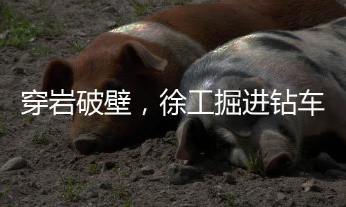 全流程设备协同作业