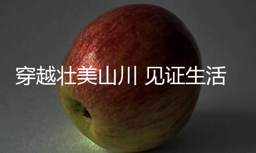 沪嘉高速公路建成通车