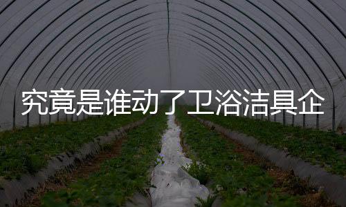 在未来的动卫市场竞争中