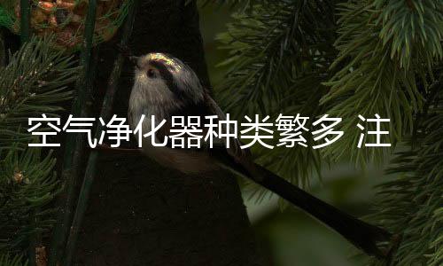 影响净化器的类繁使用寿命