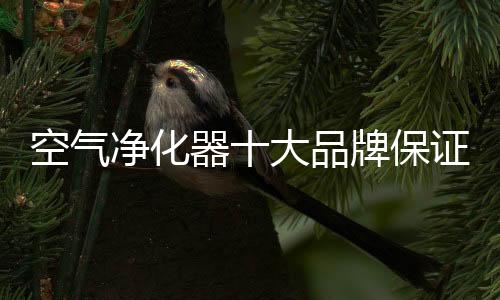 品牌净化效果一目了然