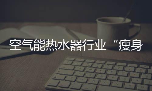 技术优势、瘦身所以