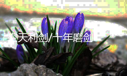 4个挂点最多可增添12枚导弹