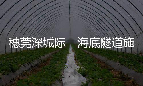 穗莞深城共设3座车站