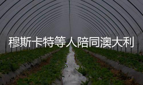 沿江漫步共赏外滩风光