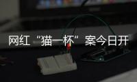 网红“猫一杯”案今日开庭
，曾编造“秦朗巴黎丢寒假作业”被封号