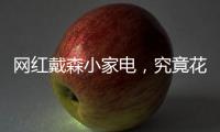 网红戴森小家电
，究竟花落谁家？