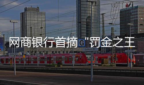 网商区别于其他类别商业银行