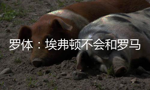 埃弗罗马将转而考虑其他人选
