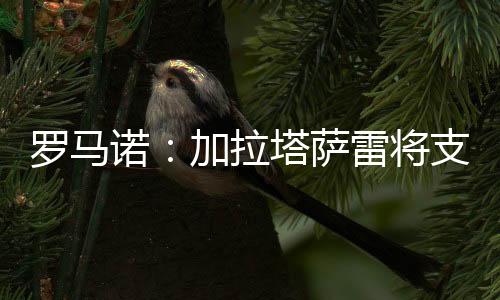 下奥期限到2028年6月