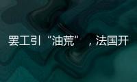 快排公司十年历程，霸屏兔 seo 的崛起与坚守