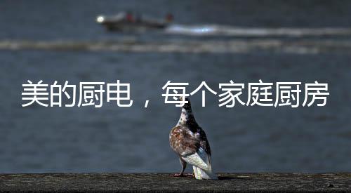 无需手洗、美的厨电肉