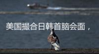 快排公司十年历程，霸屏兔 seo 的崛起与坚守