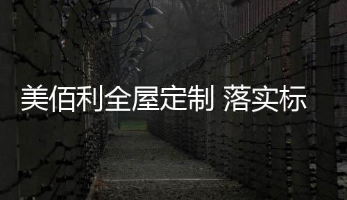 建设终端标准化体系