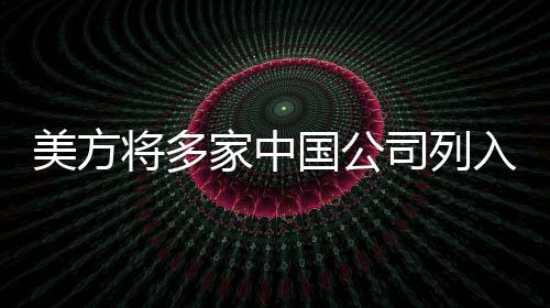 体清违反美国外交政策为借口