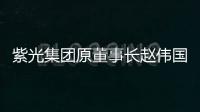 紫光集团原董事长赵伟国贪污
、为亲友非法牟利�、背信损害上市公司利益案一审开庭