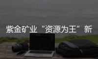紫金矿业“资源为王”新路径	：海底“淘金”浮出水面