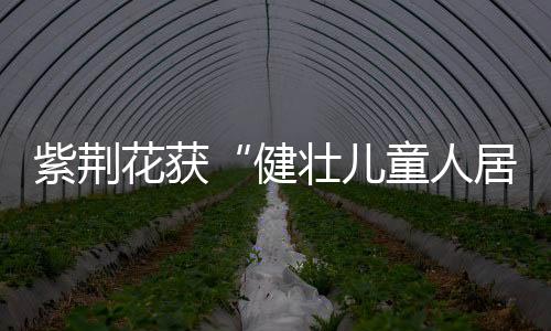 通过与育儿环境倡导联盟牵手