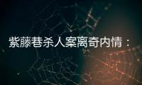 紫藤巷杀人案离奇内情：四个专案组与警界“内鬼”