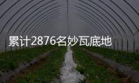 快排公司十年历程，霸屏兔 seo 的崛起与坚守