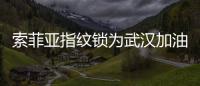 索菲亚指纹锁为武汉加油：樱花樱花，我想守护你