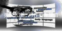 类案入库：可作参考理由，不作裁判依据