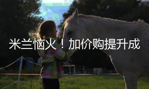 据意大利记者莫雷托报道