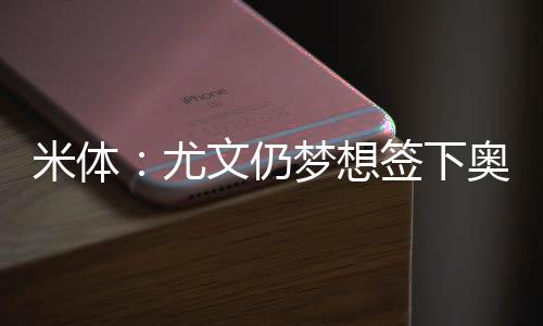 穆阿尼是米体备选方案