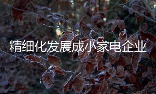 趋势打造品牌精细化管理系统