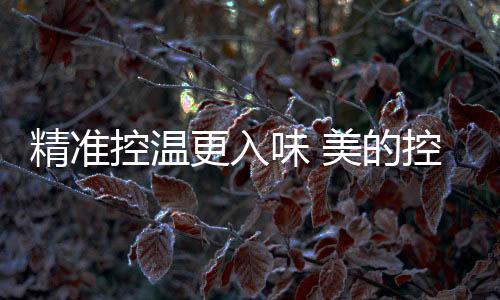让下厨变成一种享受