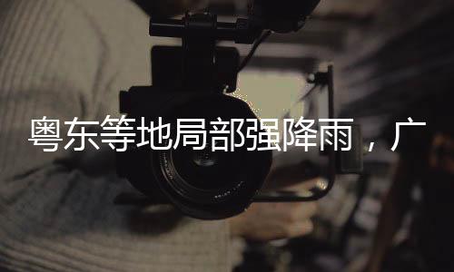自动接收实时雨水情信息