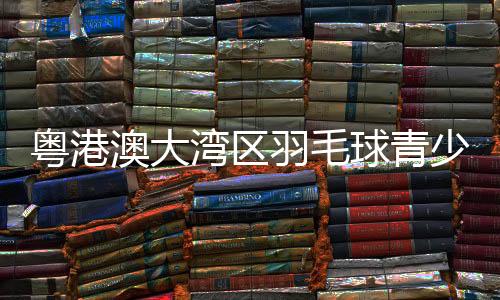羽毛球交流赛三大板块