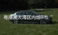 快排公司十年历程，霸屏兔 seo 的崛起与坚守